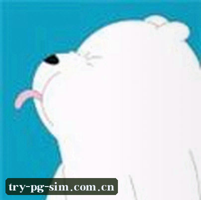 郑凯